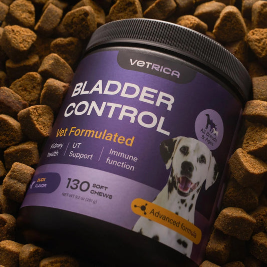 Dog UTI Treatment Bladder Control Chews Dog Cranberry Supplement for Urinary