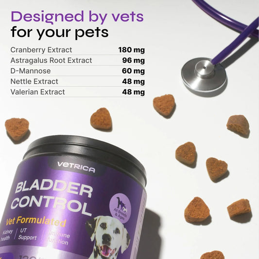 Dog UTI Treatment Bladder Control Chews Dog Cranberry Supplement for Urinary