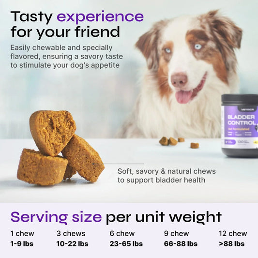 Dog UTI Treatment Bladder Control Chews Dog Cranberry Supplement for Urinary